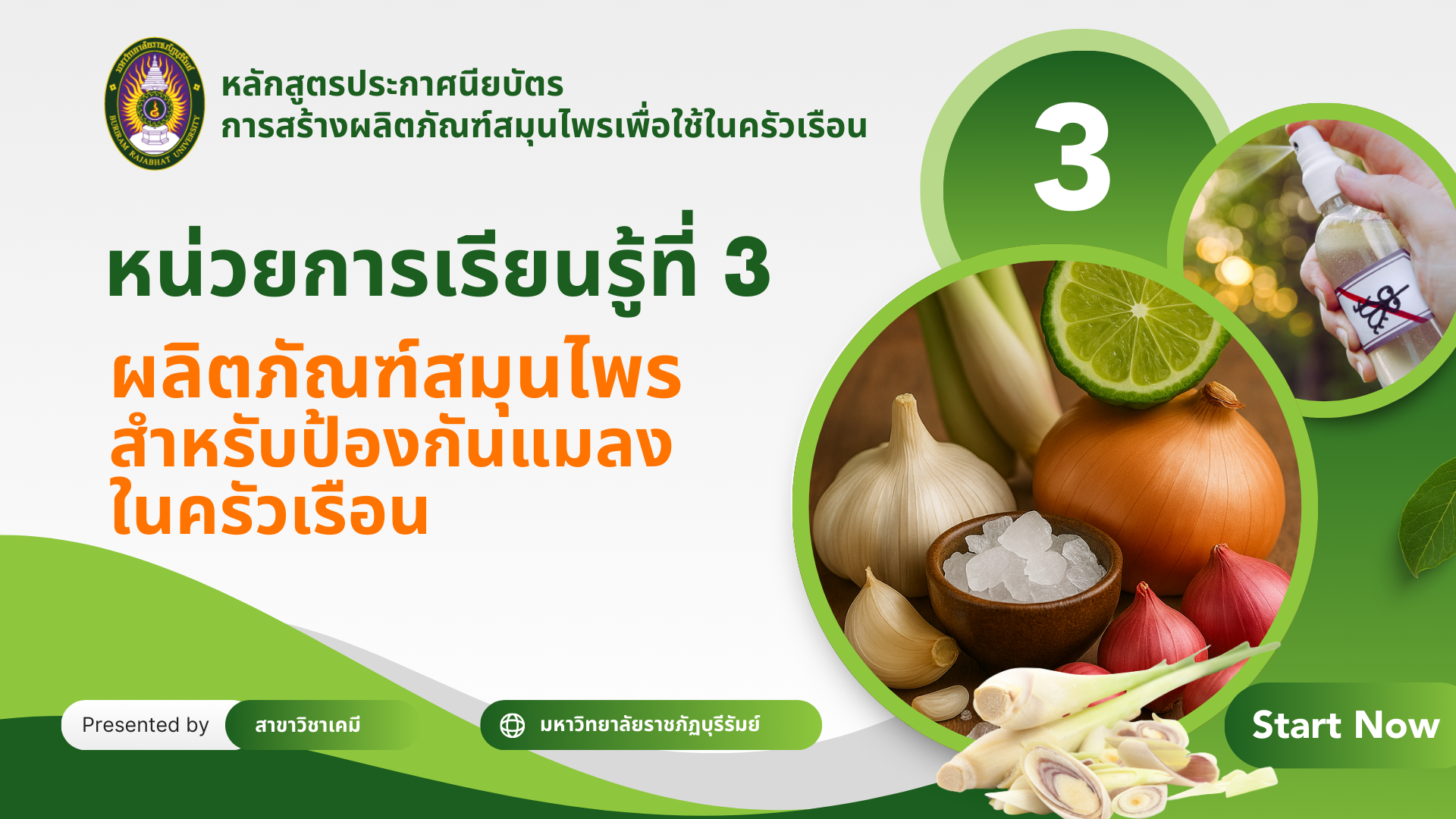 ผลิตภัณฑ์สมุนไพรสำหรับผลิตภัณฑ์ป้องกันแมลงในครัวเรือน 4023705-3
