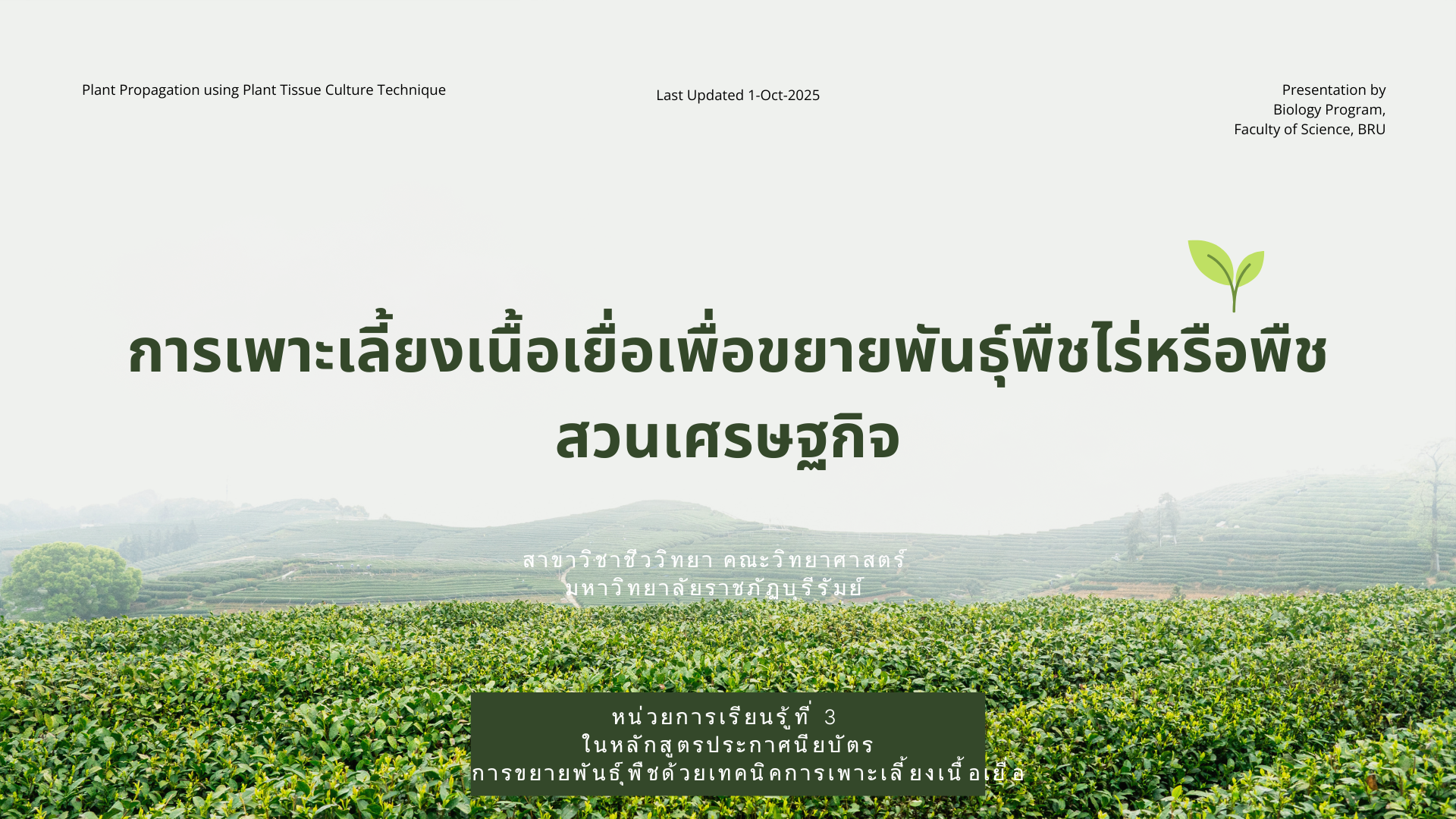 การเพาะเลี้ยงเนื้อเยื่อเพื่อขยายพันธุ์พืชไร่หรือพืชสวนเศรษฐกิจ 4033205-3